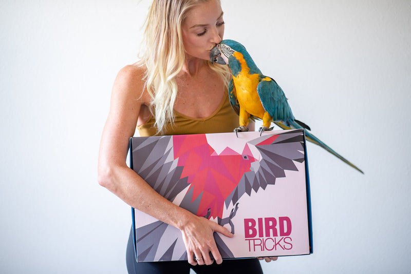 BirdTricks®极速一分钟赛车168体彩网 Sampler Box