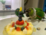Natural Feeding System (In Print)