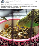 The Parrot Natural Nutrition Course