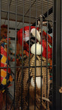 Premium All-Natural Parrot Toys (Bundle of 3)