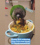 Natural Feeding System (Digital Download)