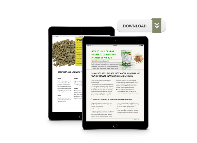 Guide For Introducing Our Pellets to Your Bird