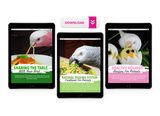 Natural Feeding System (Digital Download)