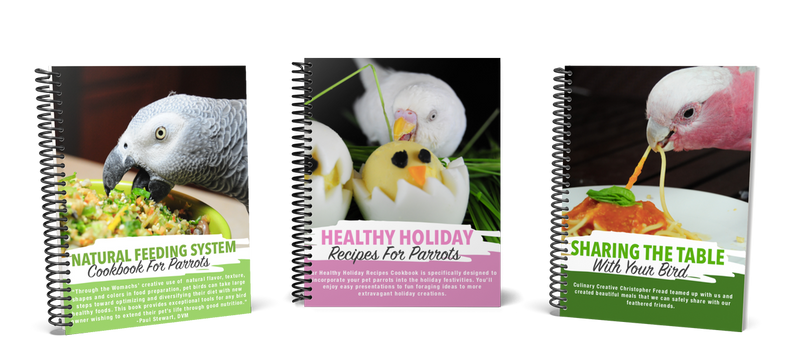 Natural Feeding System (In Print)